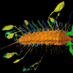 Digital reconstruction of the “Kite Runner.” Image: D. Briggs, D. Siveter, D. Siveter, M. Sutton, D. Legg